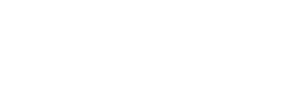 ICLHM Institute